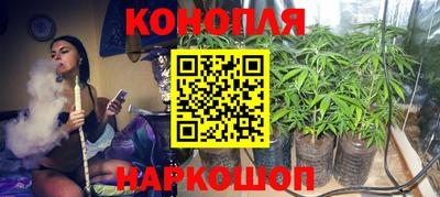 ешки Краснознаменск