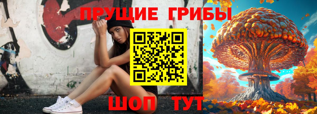 Псилоцибиновые грибы ЛСД  купить закладку  Комсомольск-на-Амуре  Псилоцибиновые грибы Magic Shrooms  Вход с VPN 